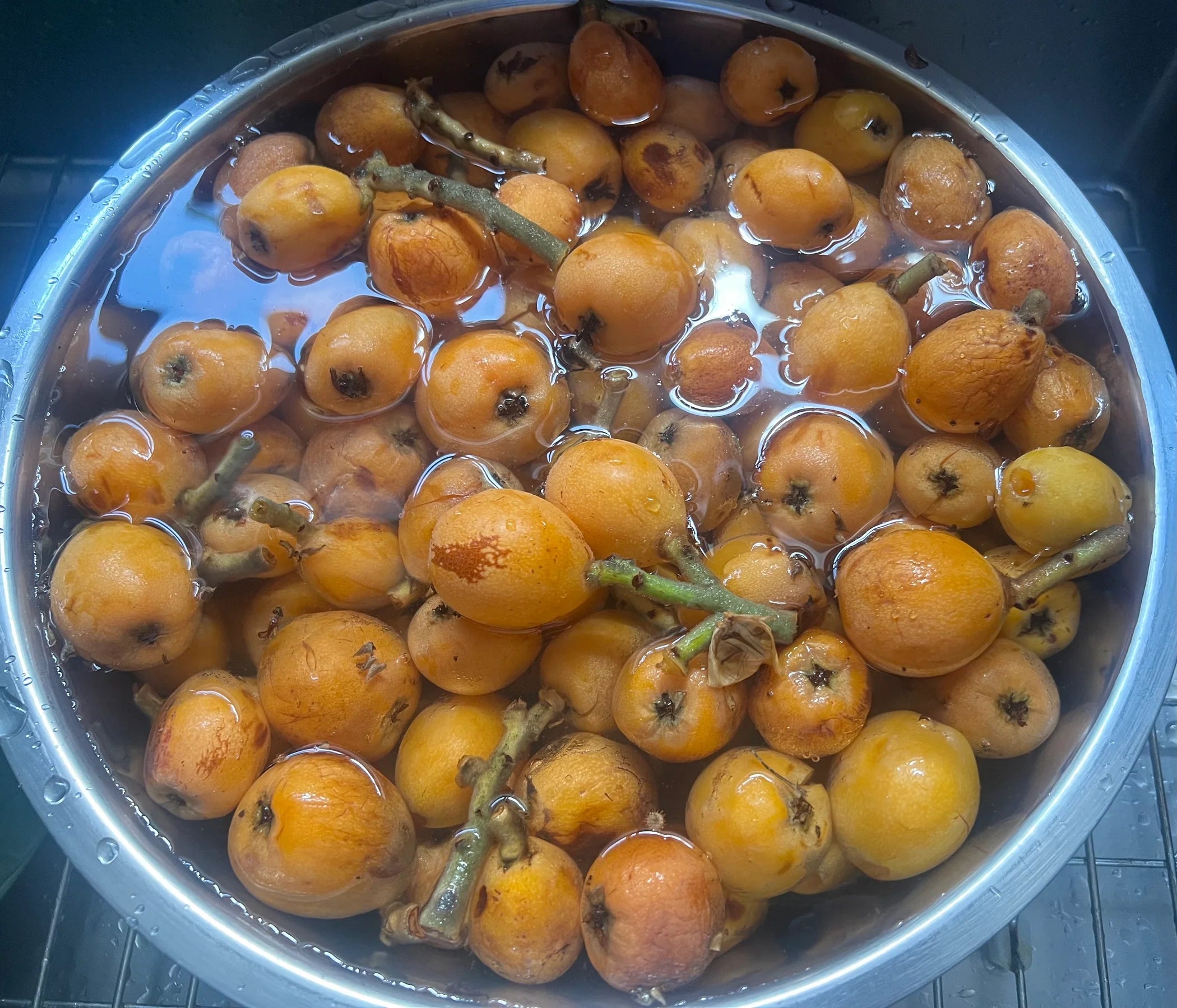 Loquats: A Secret Southern California Delight